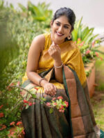 Kanchipuram Soft Silk Sarees